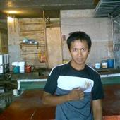Cung