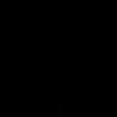 1x