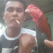 Cá