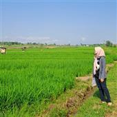 Nữ