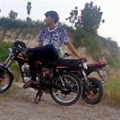 Quả 