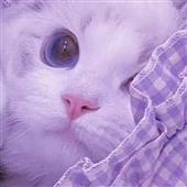 Đạ