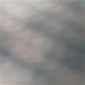 Gi