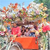 vậ