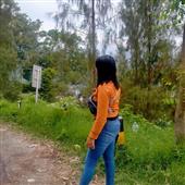 Bảng