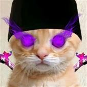 Mo
