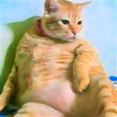 Mơ