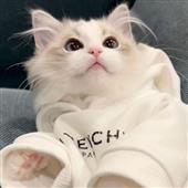 We