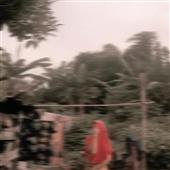 gi