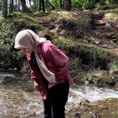 Gi