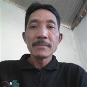 Tình