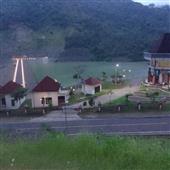 Cây 
