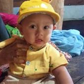 Vậ