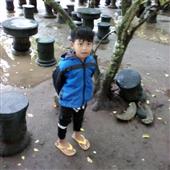 Sứ