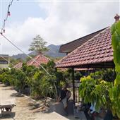 mạt 