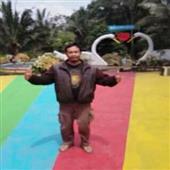 Luật