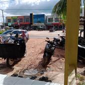 Số g
