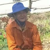 Luật