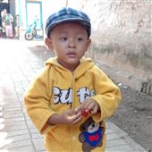 Tỷ