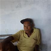 Bả