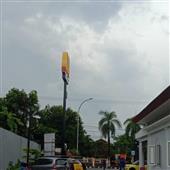 Luật