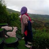 Tỷ