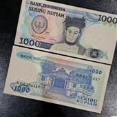 Luật