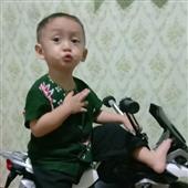 Vật 