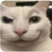 Sh