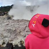 Gi
