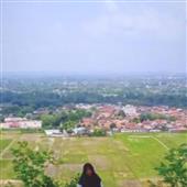 Trực