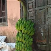 Is