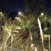Tỷ s