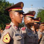 Vươn