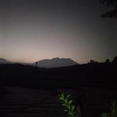 Củ
