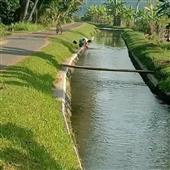 Tiền