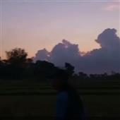 Tô