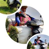 CỪ