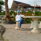 Trực