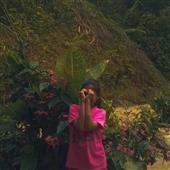 Công