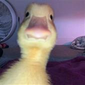 An