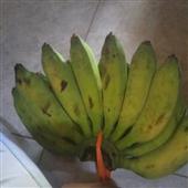 Đu