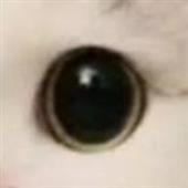We