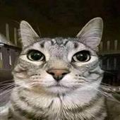 câ