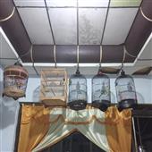 Giải