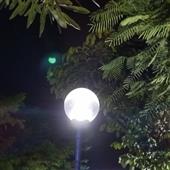 Lo