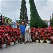 Bó
