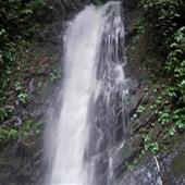 Ninj