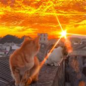 Bả