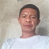 Cá